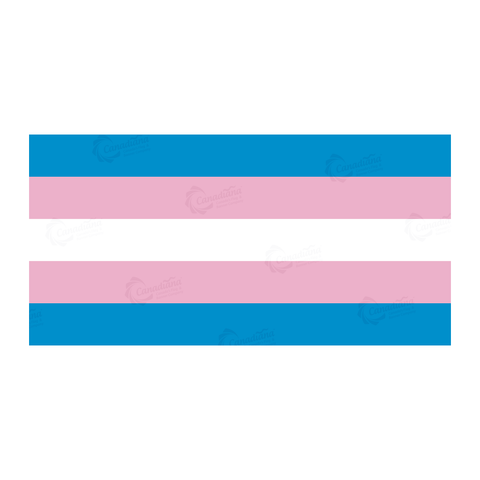 Transgender-flag-vector