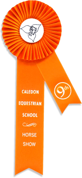 Ribbon lll - Canadiana Flag