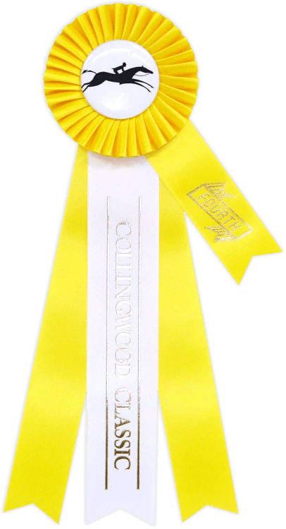 Ribbon V - Canadiana Flag