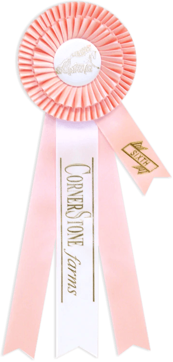Ribbon XI - Canadiana Flag
