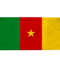 Cameroon Flag Success