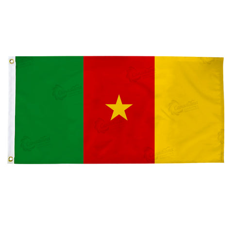 Cameroon Flag Success