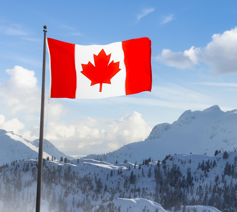 Canada flags collection