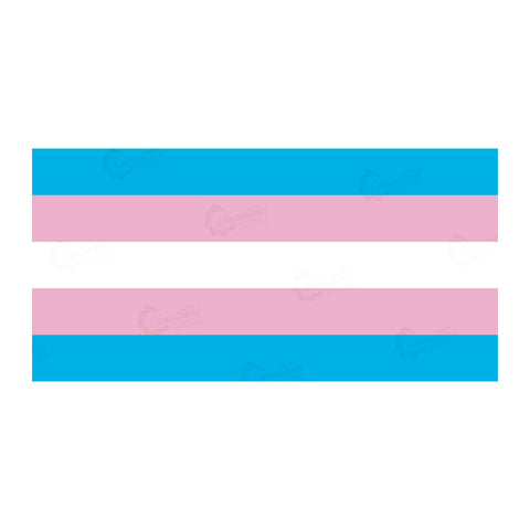 Transgender-flag-vector