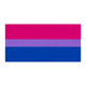 Bisexual-flag-vector