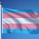 Transgender Flag - Canadiana Flag