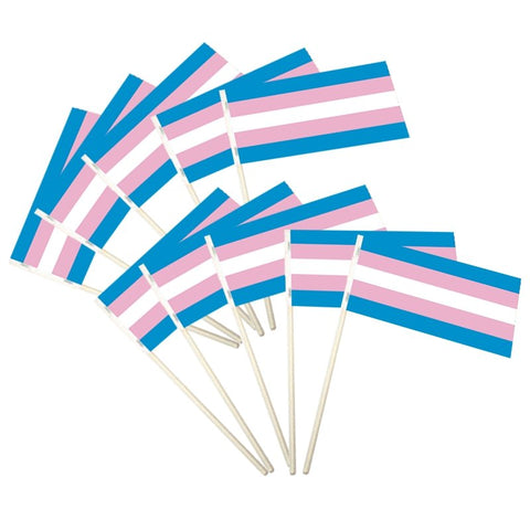 Transgender Paper Flag - Canadiana Flag